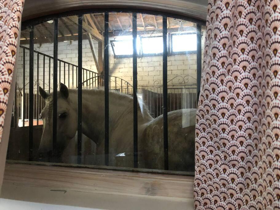 Logement Insolite Au Coeur D'Une Ecurie آرْلْ المظهر الخارجي الصورة